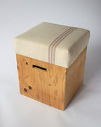 Box Cushion - Coast