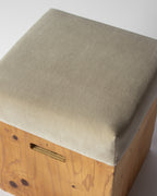 Box Cushion - Feather